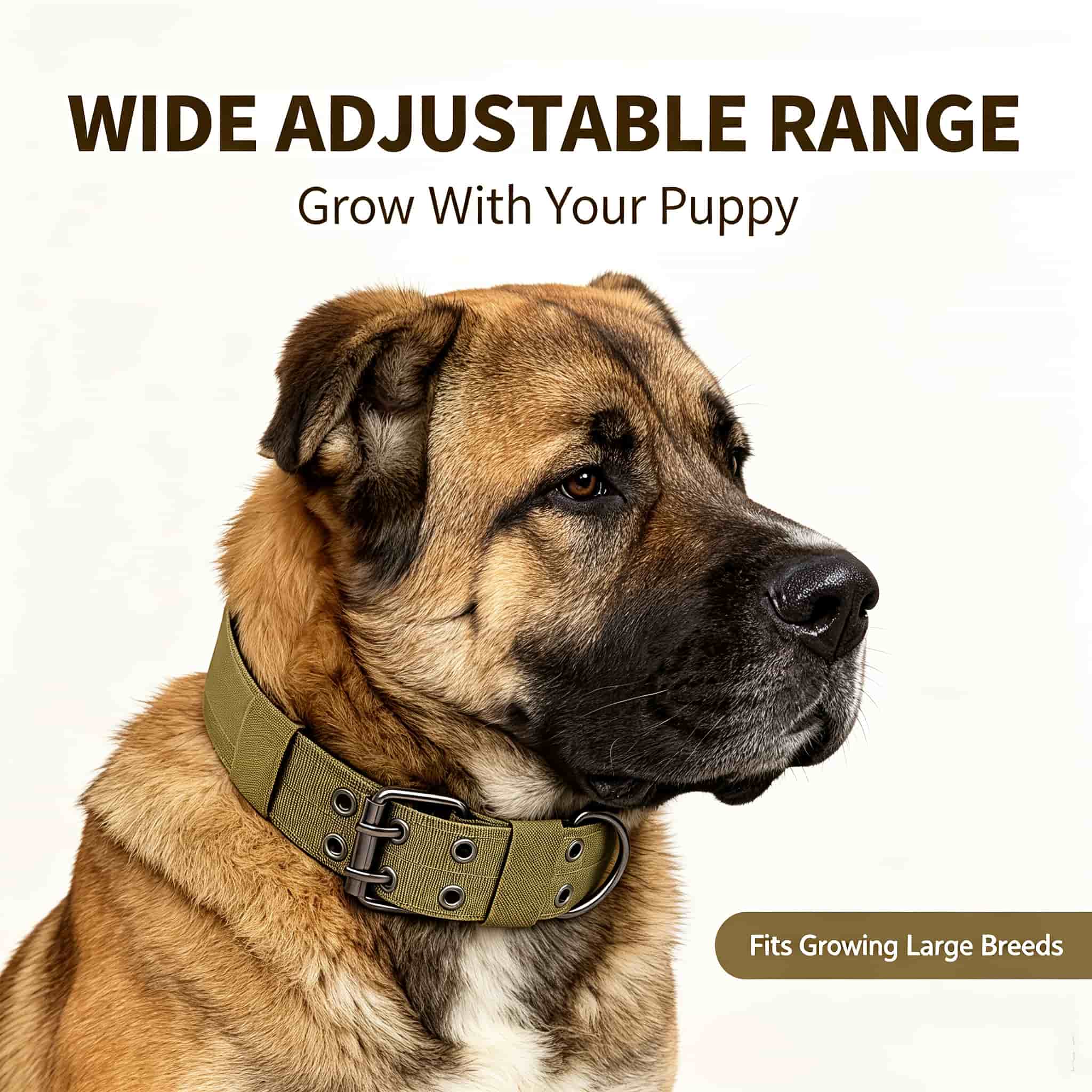 Outdoor Hunting Dog Collar - Coleira Tática Camo para Cães, Nylon