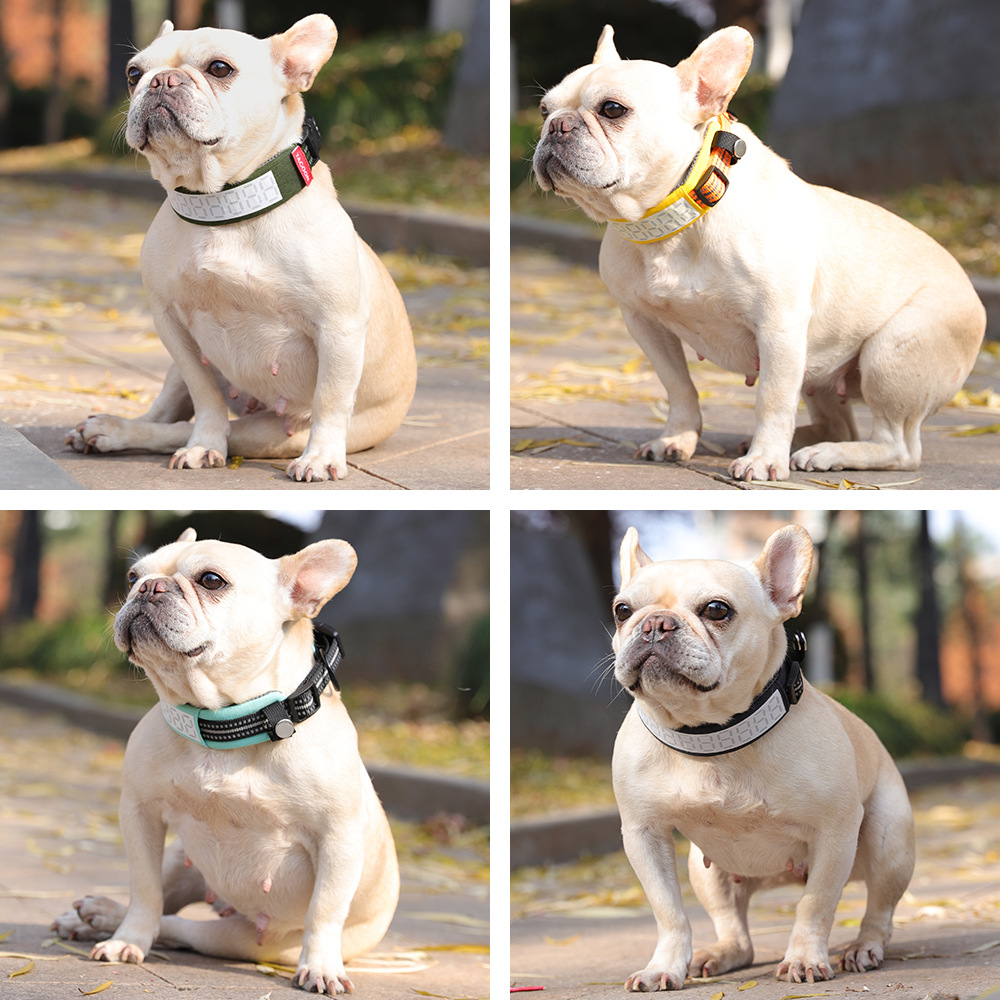 Outdoor Hunting Dog Collar - Coleira Refletiva para Cães Grandes, Ajustável