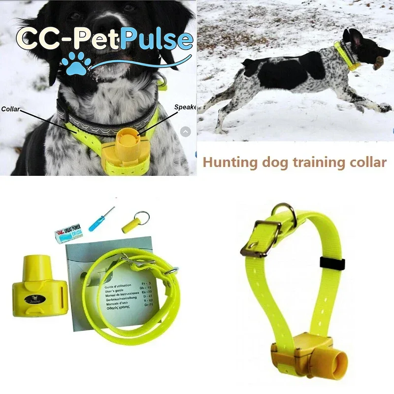 Coleiras Beeper para Cães de C - Outdoor Hunting Dog Collar avaliação e preço