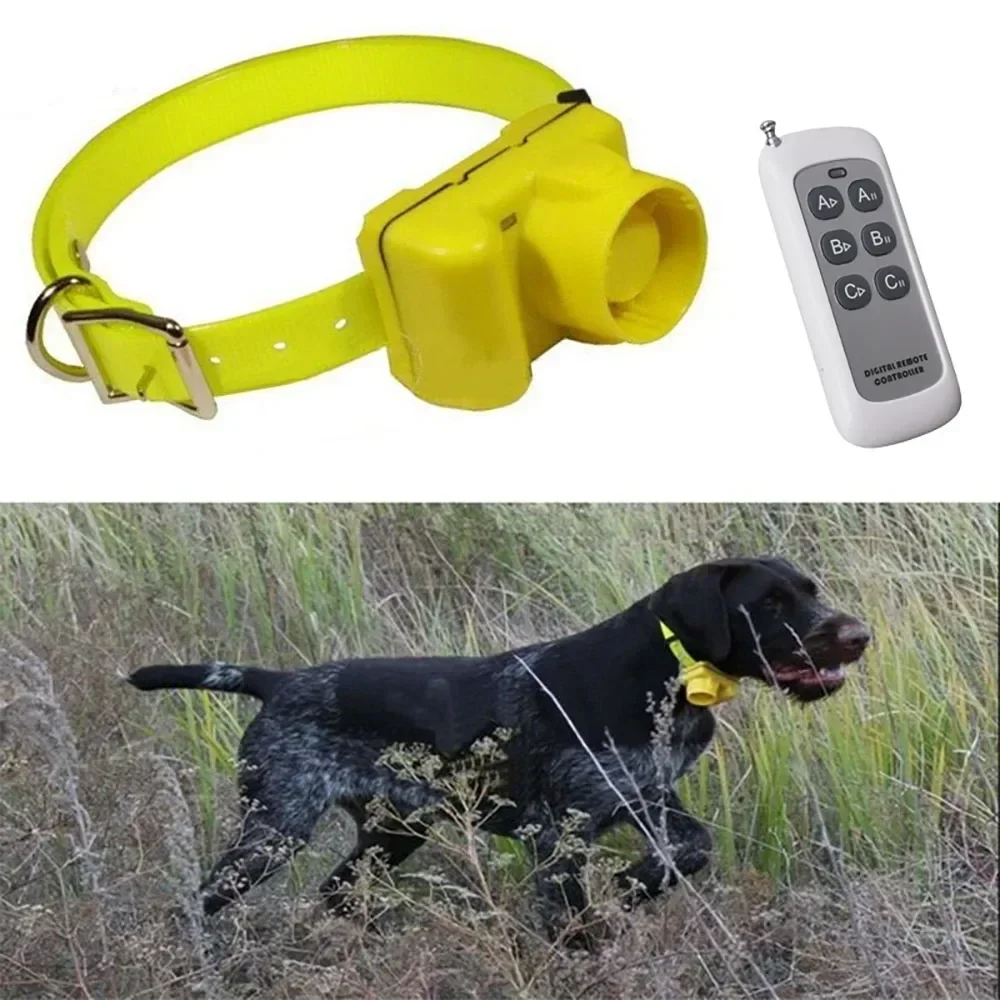 Coleiras Beeper para Cães de C - Outdoor Hunting Dog Collar avaliação e preço