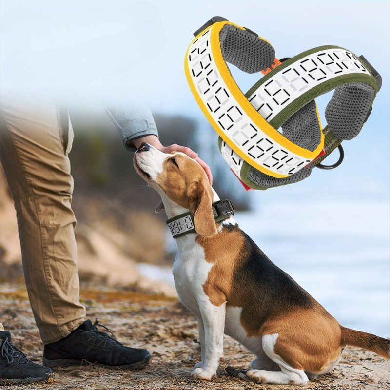 Coleira Refletiva para Cães Gr - Outdoor Hunting Dog Collar avaliação e preço