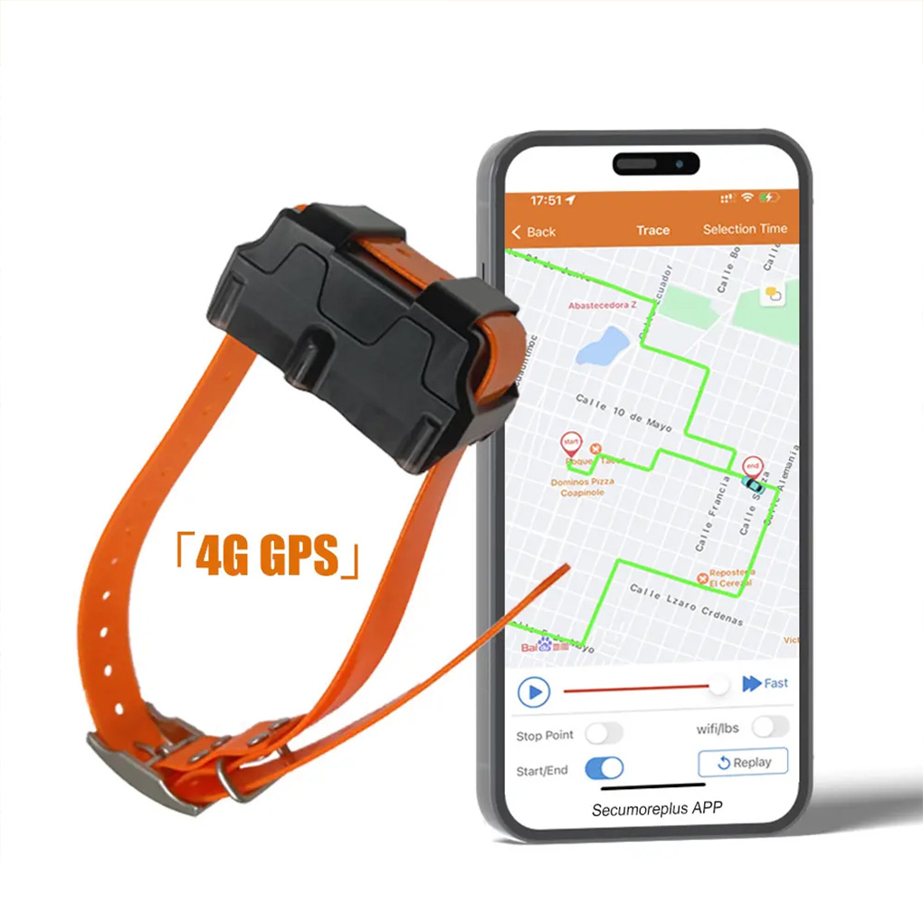 CY09A Rastreador GPS para anim - Outdoor Hunting Dog Collar avaliação e preço