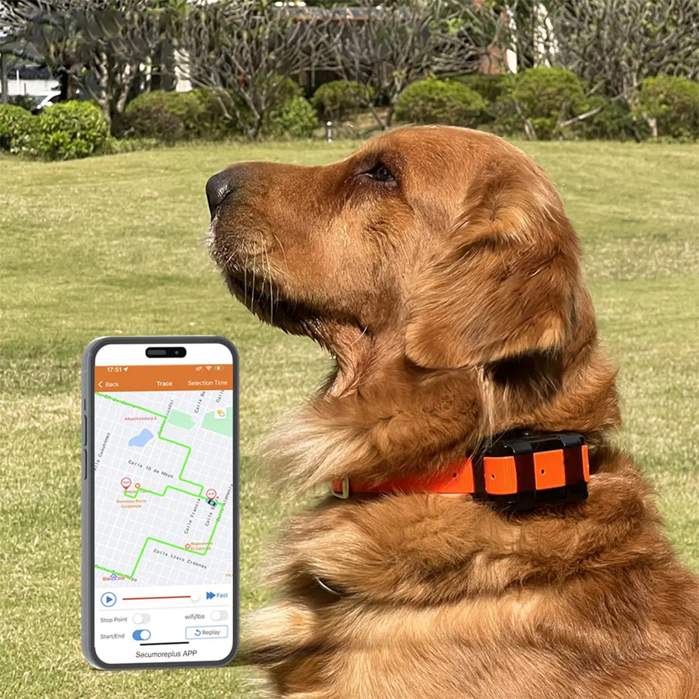 CY09A Rastreador GPS para anim - Outdoor Hunting Dog Collar avaliação e preço