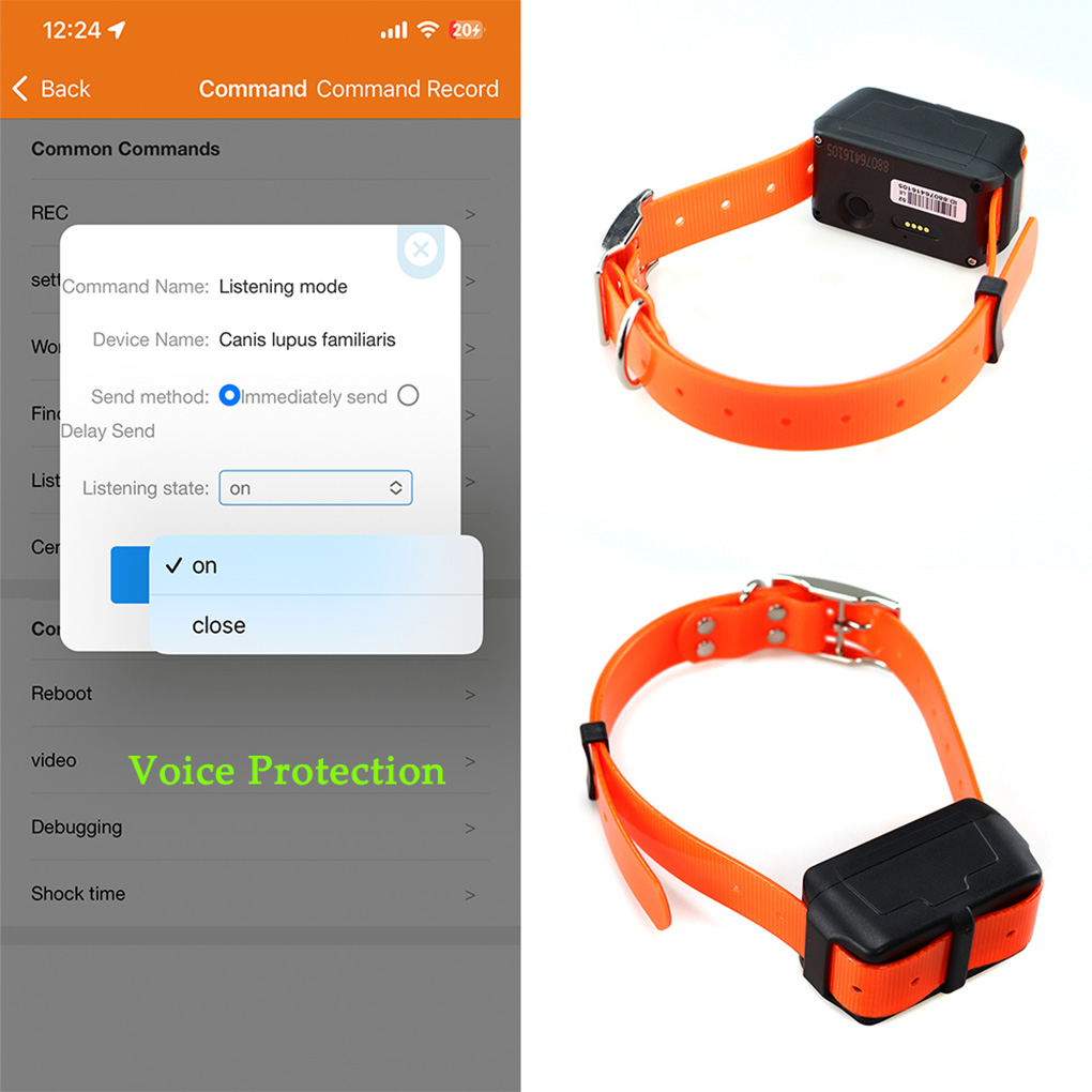 CY09A Rastreador GPS para anim - Outdoor Hunting Dog Collar avaliação e preço