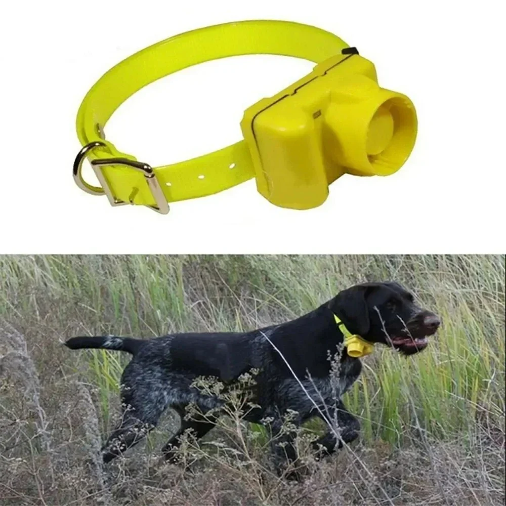Coleira de bip para cães de ca - Outdoor Hunting Dog Collar avaliação e preço