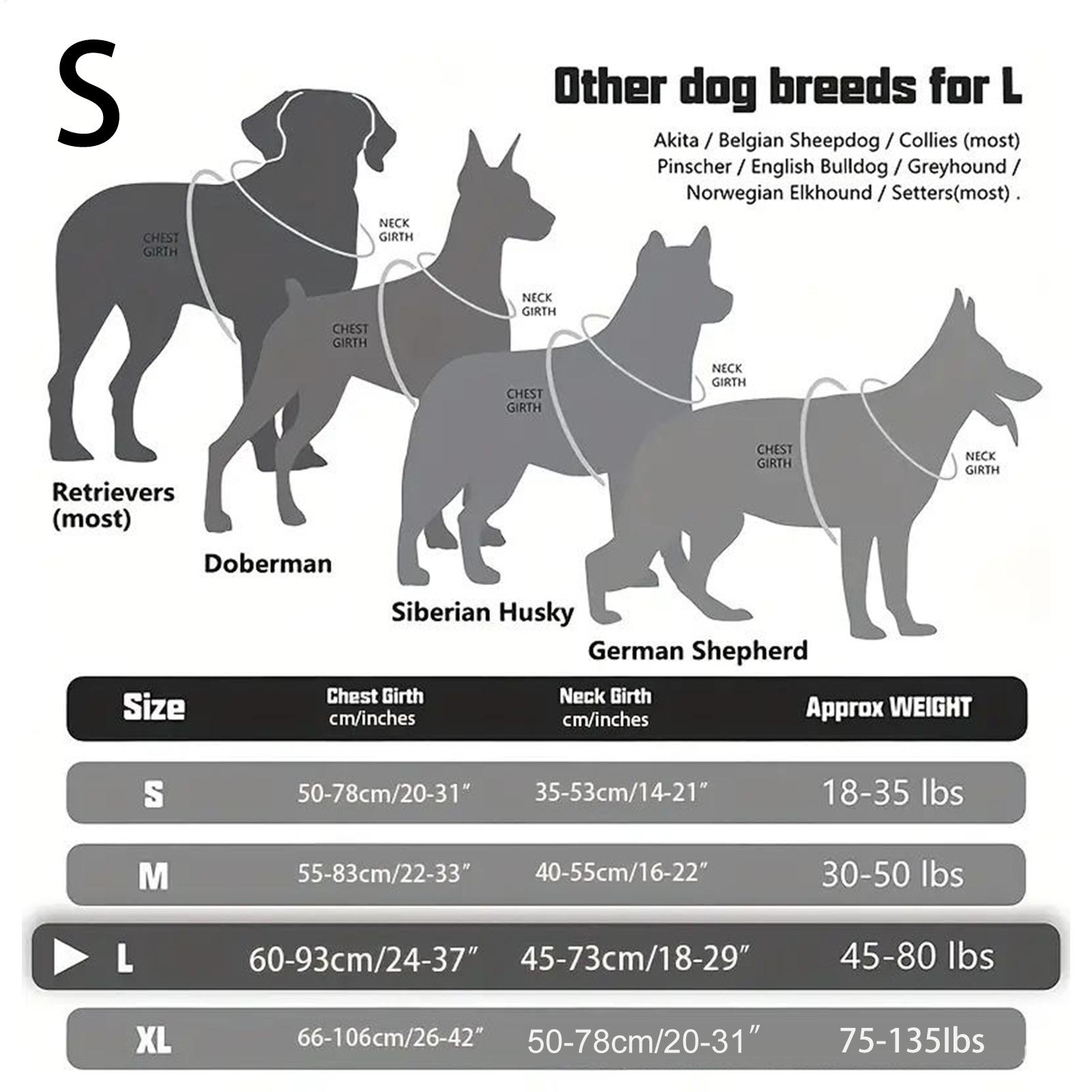 Arnês para cães com fivela de  - Outdoor Hunting Dog Collar avaliação e preço