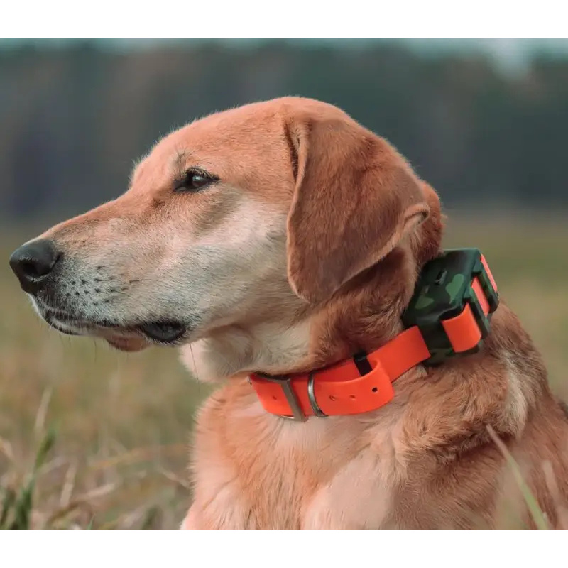 ICAR IK122M 2000mah Coleira Ra - Outdoor Hunting Dog Collar avaliação e preço