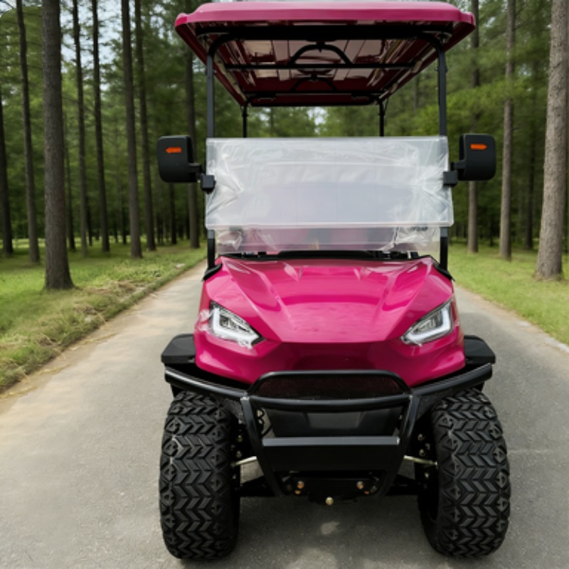 Carrinho de golfe elétrico de  - Hunting Outdoor Media avaliação e preço