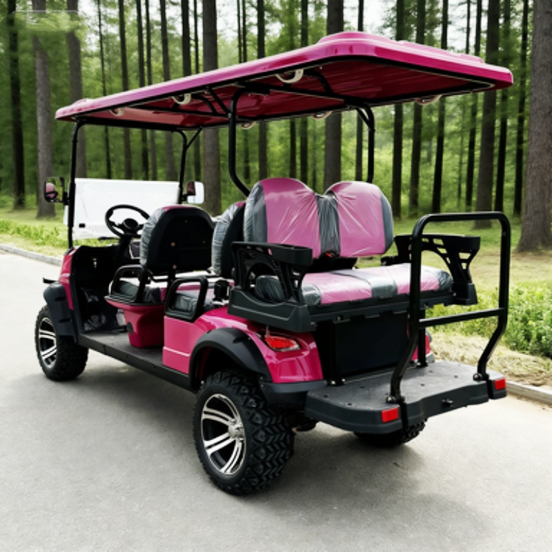 Carrinho de golfe elétrico de  - Hunting Outdoor Media avaliação e preço