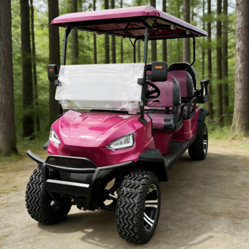 Carrinho de golfe elétrico de  - Hunting Outdoor Media avaliação e preço