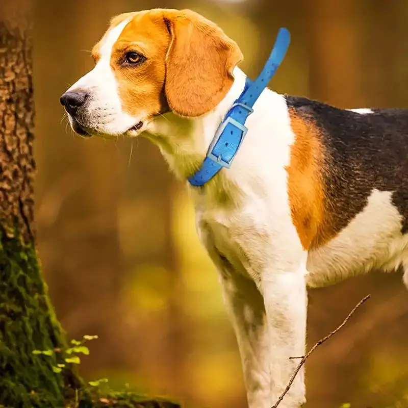 Coleira de segurança para anim - Outdoor Hunting Dog Collar avaliação e preço