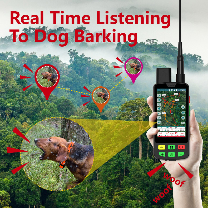 Coleira GPS 4G para Cães com M - Outdoor Hunting Dog Collar avaliação e preço