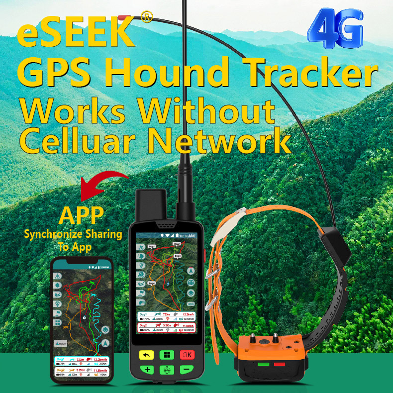 Coleira GPS 4G para Cães com M - Outdoor Hunting Dog Collar avaliação e preço