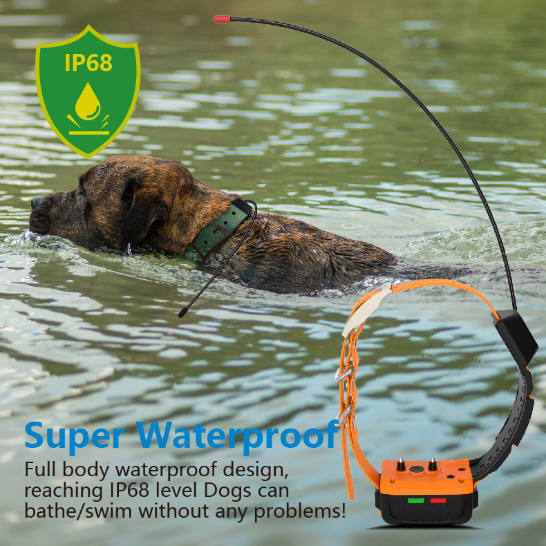 Coleira GPS 4G para Cães com M - Outdoor Hunting Dog Collar avaliação e preço